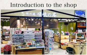 Introduction to the shop